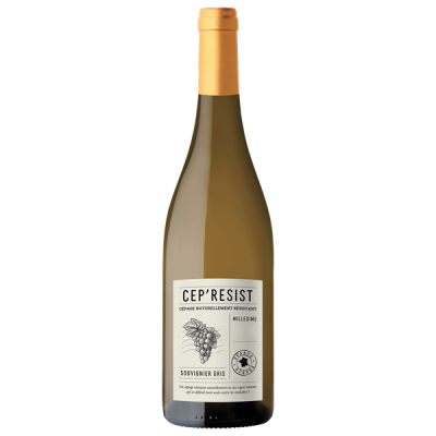 Atlantique Cep'Resist Souvignier Gris Blanc 2024 - Tutiac