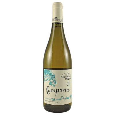 Corbières Campana Blanc 2024 - Château Beauregard-Mirouze