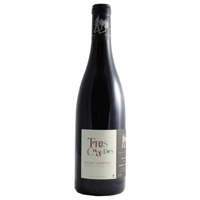 Saumur-Champigny Terres Chaudes Rouge 2021 - Domaine des Roches Neuves