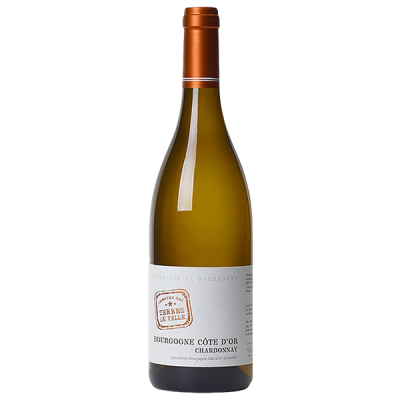 Bourgogne Côte-d'Or Chardonnay Blanc 2020 - Domaine des Terres de Velle