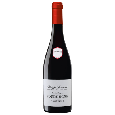 Bourgogne Pinot Noir Rouge 2021 - Philippe Bouchard