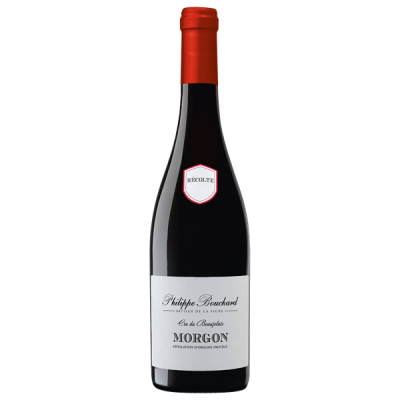 Morgon Rouge 2024 - Philippe Bouchard