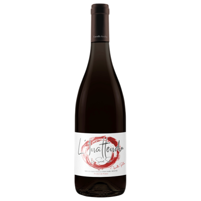 Le Saint Sot Rouge 2024 - Domaine de l'Inattendu