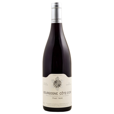 Bourgogne Côte-d'Or Rouge 2023 - Domaine Bzikot