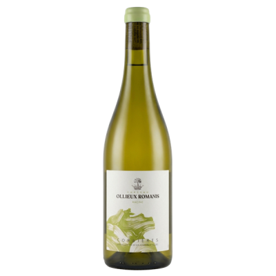 Corbières Racine Blanc 2024 - Château Ollieux Romanis