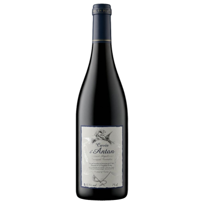 Bourgueil Cuvée d'Antan Rouge 2022 - La Chopinière du Roy