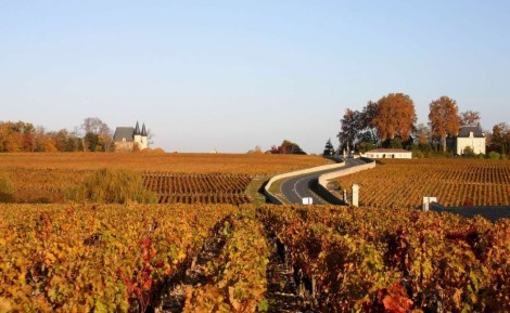 Margaux : guide complet d'une grande appellation du Médoc