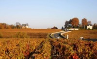 Margaux : guide complet d'une grande appellation du Médoc