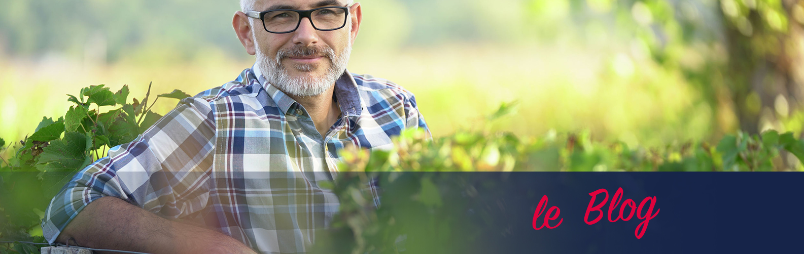 Le Blog de Mon Vin Français